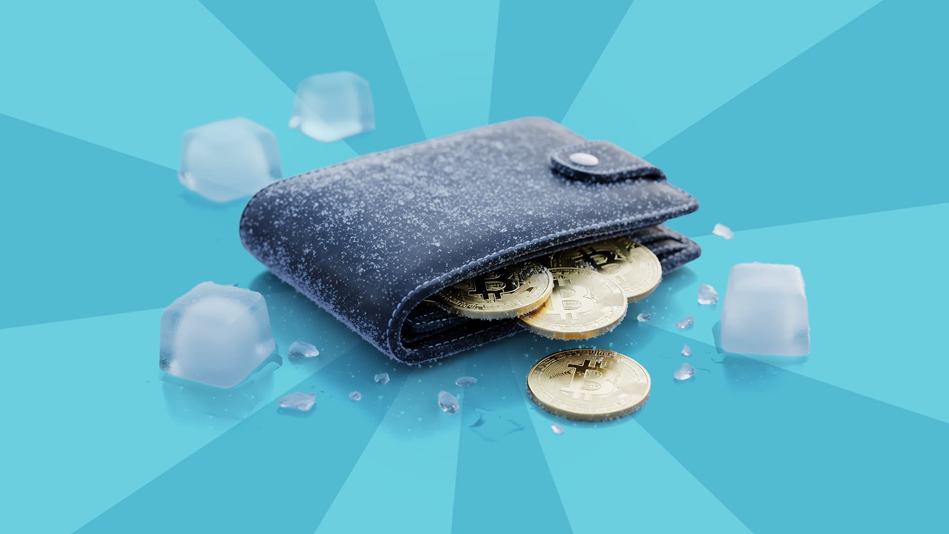 How To Store Cryptocurrency the Safest Way