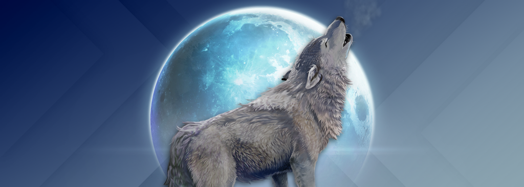 Discover a moonlit adventure filled with free spins, multipliers and more! We cover all the details in our Mystic Wolf slot review.