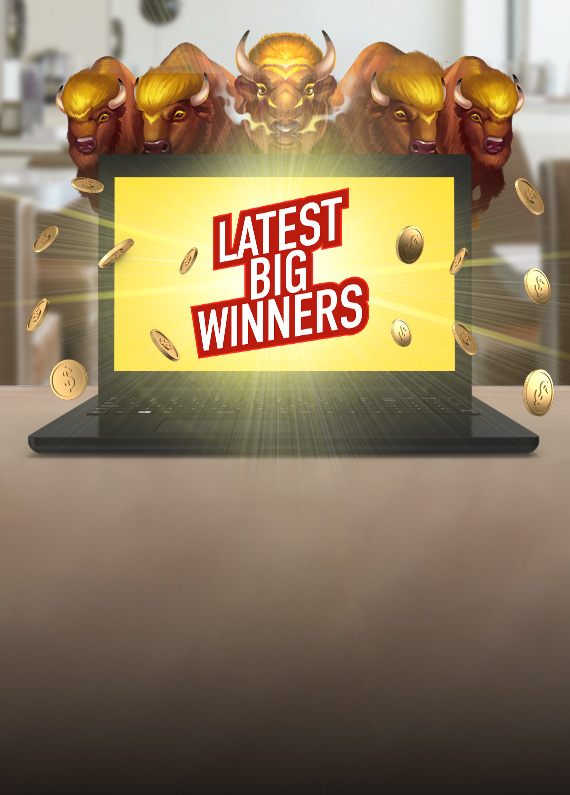 A black laptop sits open on top of a brown timber surface. The screen shows a yellow background with the words “Latest Big Winners” in red. Above, are five 3D-animated buffalos from the Cafe Casino slot game, Golden Buffalo Hot Drop Jackpots. Emanating from the screen is a ray of light, along with shiny gold coins.
