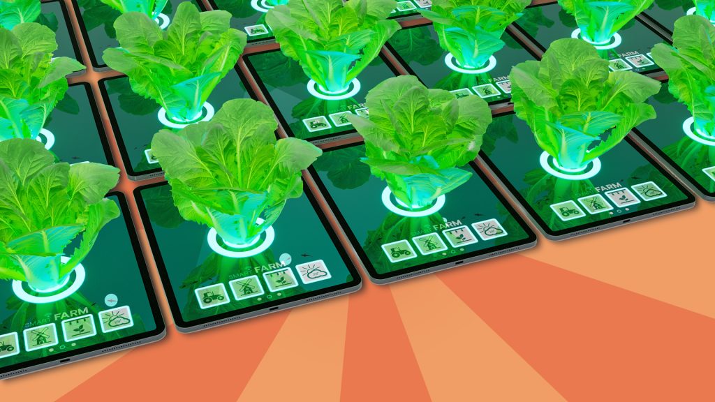 Lettuces growing out of iPads lined up in a row, against an orange background.