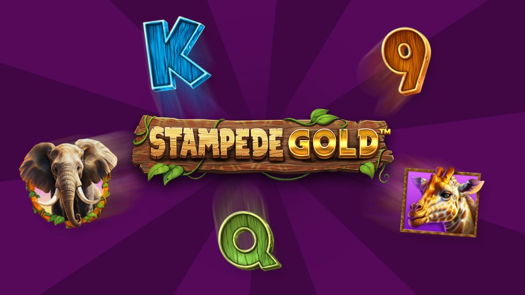 A dark purple background with symbols of elephants, giraffes, and playing cards surrounding text that says ‘Stampede Gold’.